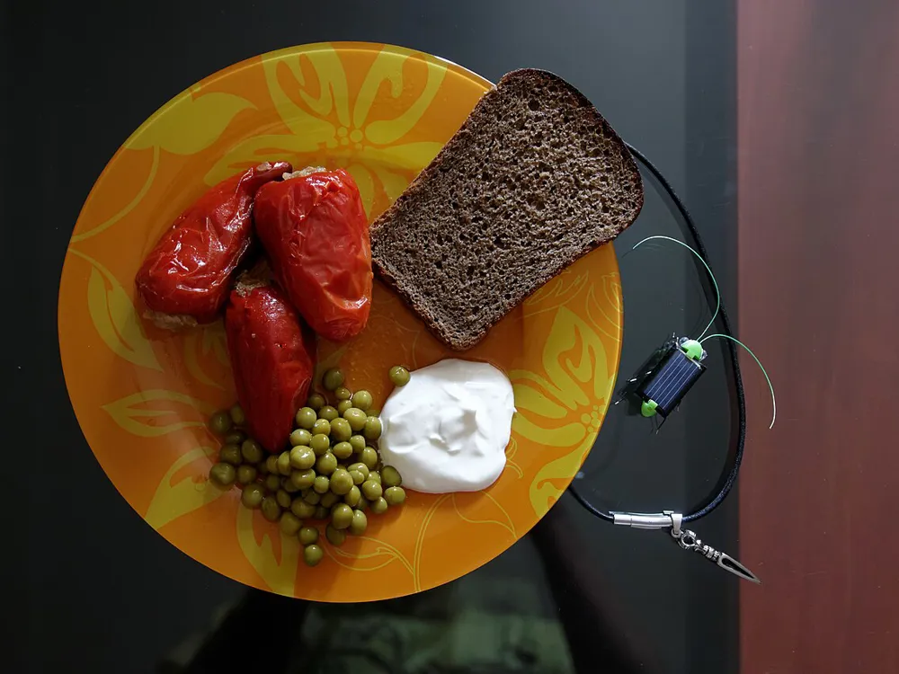 Перец фаршированный с соусом